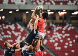 开云-海港官宣签约巴西球星保利尼奥 锋线升级剑指中超与亚洲赛场