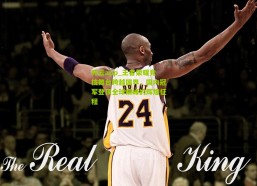 开云app_王者荣耀竞技舞台跨越国界，国内冠军登顶全球巅峰的辉煌征程