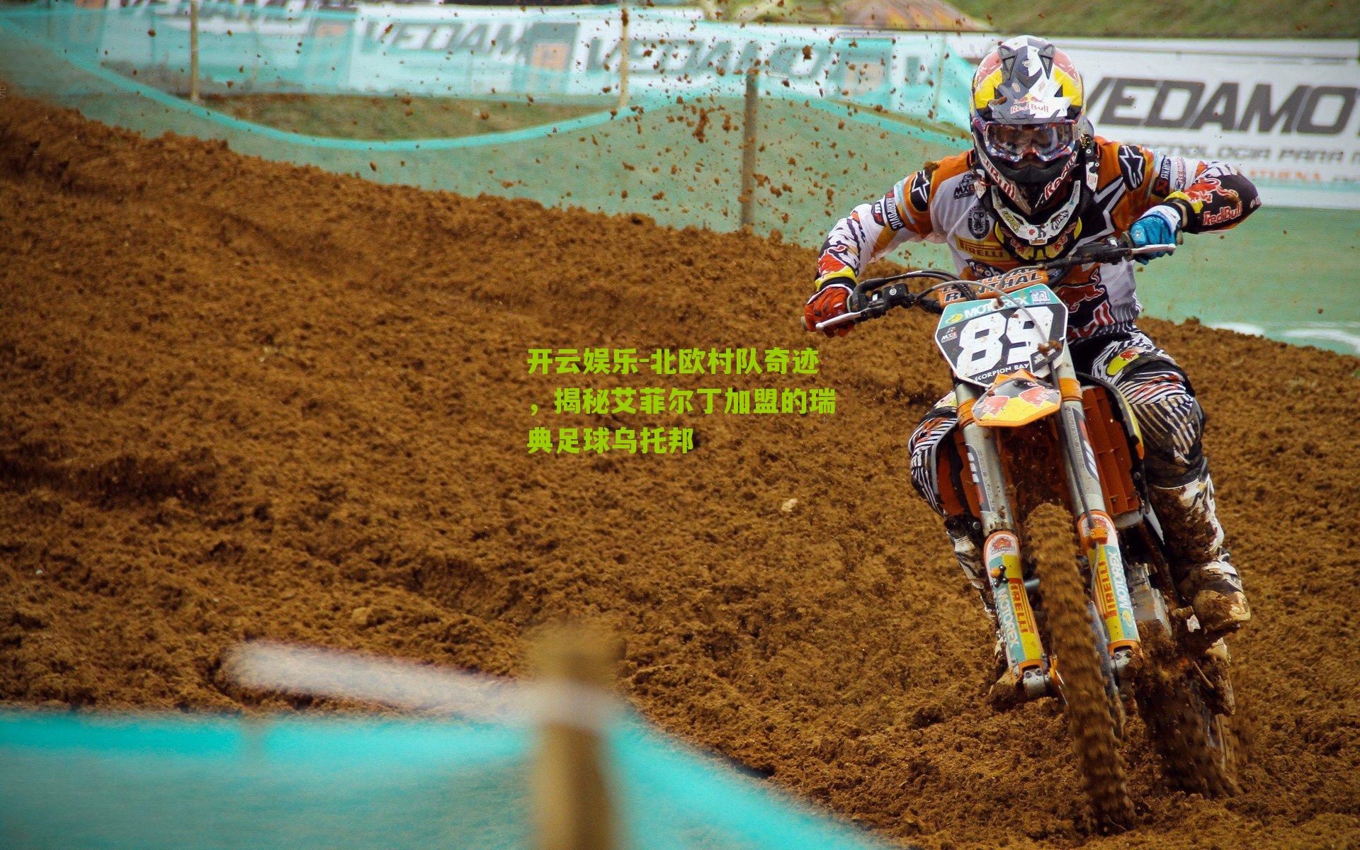 北欧村队奇迹，揭秘艾菲尔丁加盟的瑞典足球乌托邦